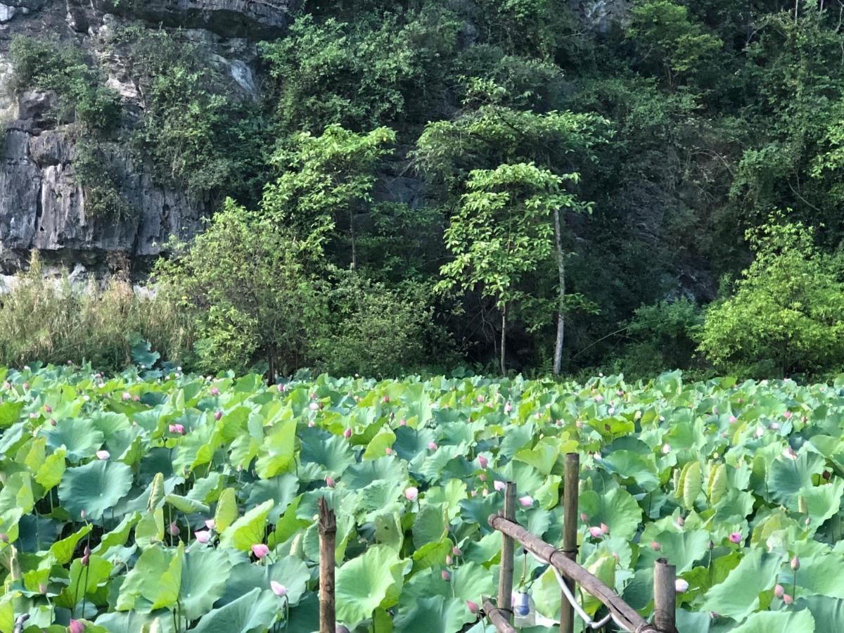 Trang An River View Homestay Ninh Binh Exterior photo